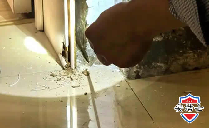 嘉兴房屋建筑防治白蚁