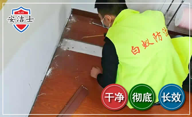 嘉兴除四害现场