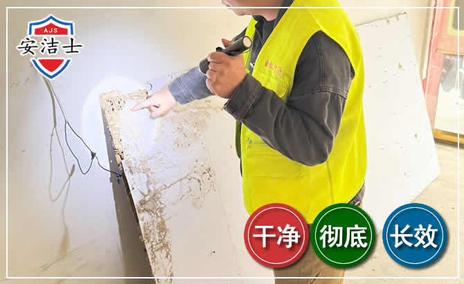 嘉兴除白蚁现场