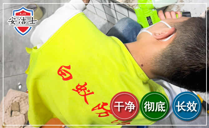 嘉兴白蚁根治现场